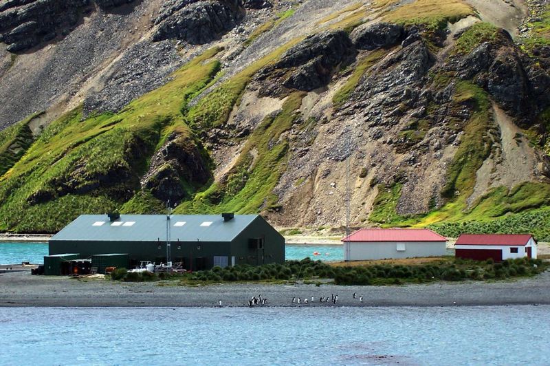 grytviken_006.jpg