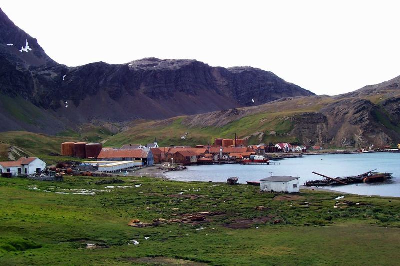 grytviken_023.jpg