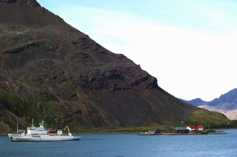 grytviken_024.jpg