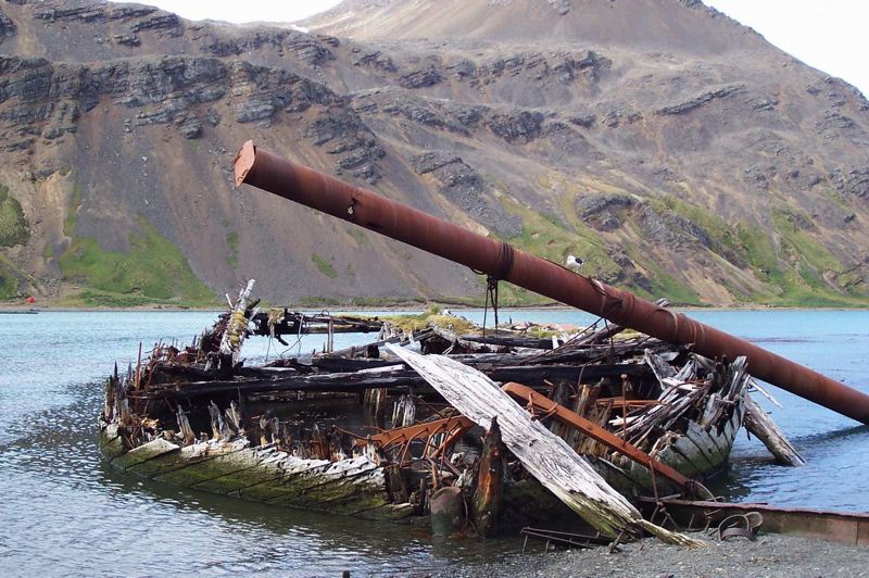 grytviken_032.jpg