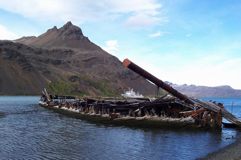 grytviken_035.jpg