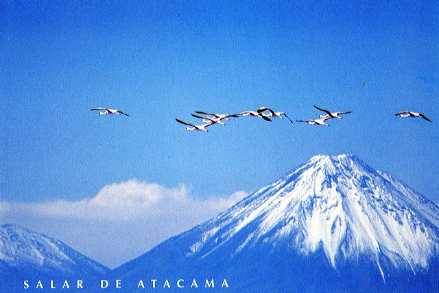 licancabur2.jpg